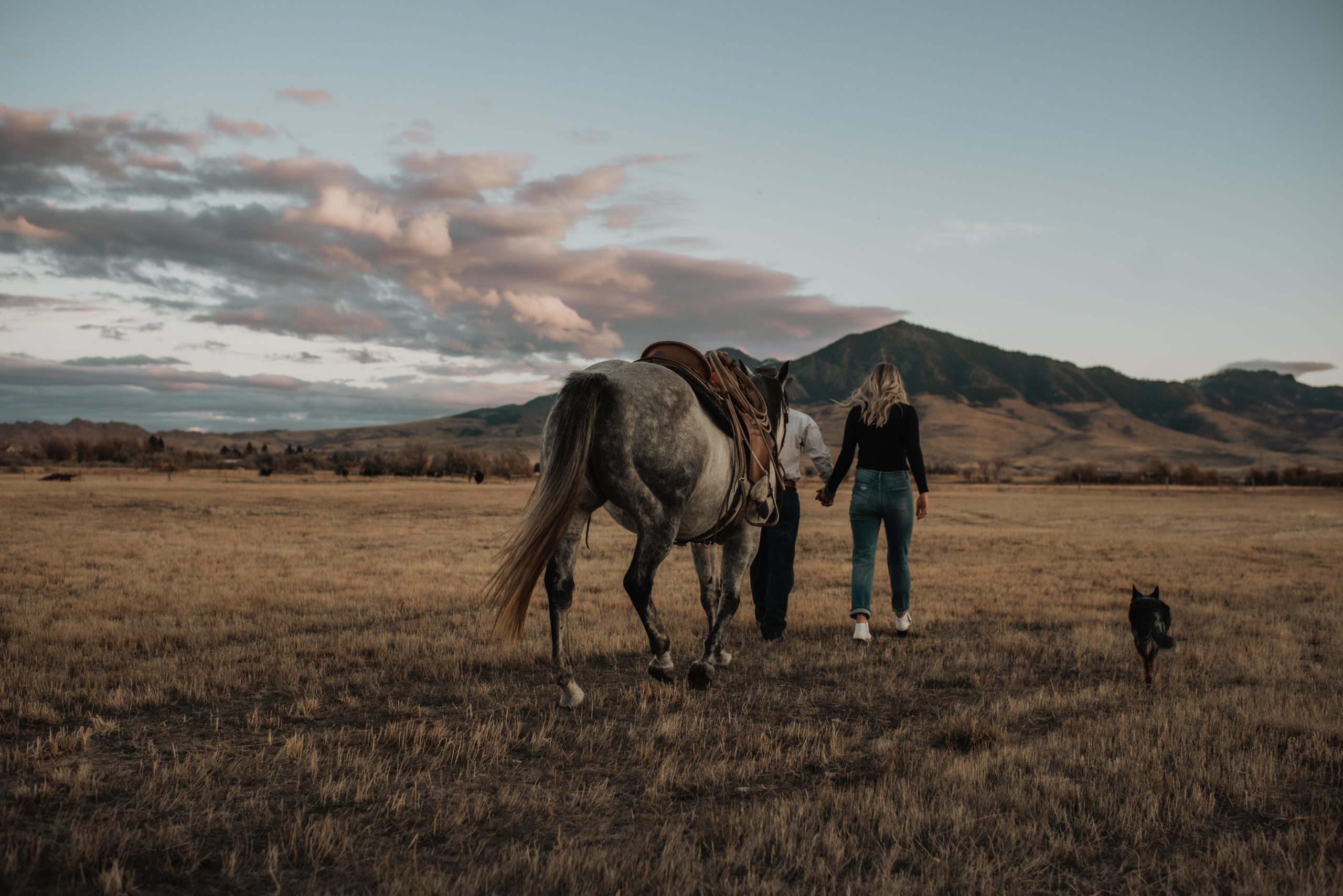 A cowboy and his fiancee walking their horse through a prairie in Montana.